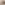 https://www.rijndam.nl/assets/uploads/images/medewerkers/Profielfoto-Dorinde_Oster_RA_vlp__vierkant.png