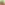 https://www.rijndam.nl/assets/uploads/images/medewerkers/Profielfoto_Liesbeth_v_Kalsbeek_reva_ri-_vierkant_-_kinderrevalidatie_artsen.png