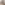 https://www.rijndam.nl/assets/uploads/images/medewerkers/Profielfoto_Margriet_vd_Werf_vierkant.png